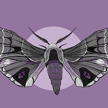 Moth Sticker for Sale by FionaCreates72