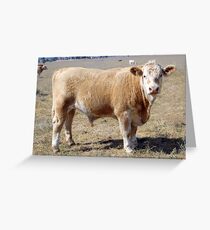 Missy's son Greeting Card