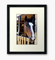 Flash Framed Print