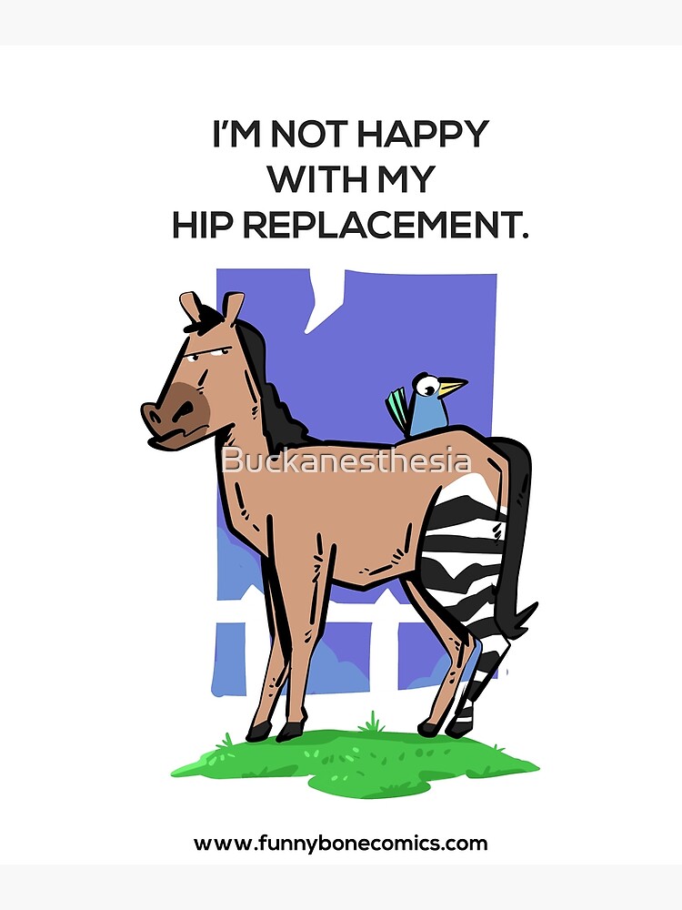 "Not Happy with my Hip Replacement Zebra Horse Design " Canvas Print by Buckanesthesia Redbubble