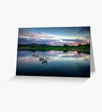 Sunset Ducks Greeting Card