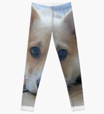 I'm cute and I know it Leggings