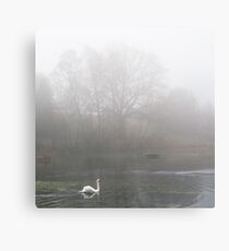 Airthrey Loch, Scotland Canvas Print