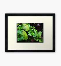 green Framed Print