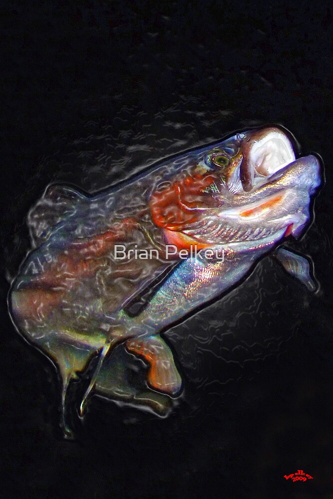 "Vacuum Sealed Rainbow Trout" by Brian Pelkey Redbubble