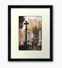 Fence Framed Print