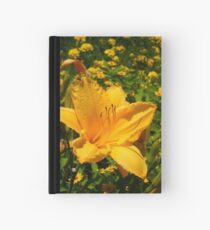 Playful Lilly Hardcover Journal