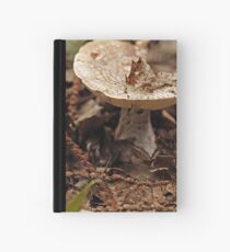 Toadstool Hardcover Journal