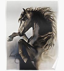 "Black Fury" Painting in Oils Poster
