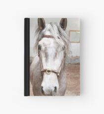Lusitano Hardcover Journal