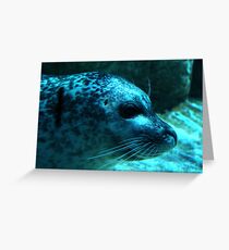 SEA LION Greeting Card