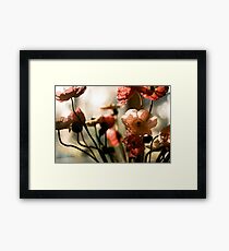 poppies awakening Framed Print