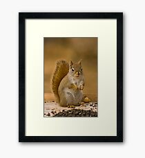 What do you want? Framed Print