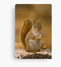 What do you want? Canvas Print
