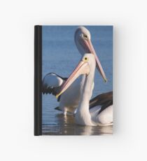 Pelicans Hardcover Journal