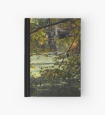 Cypress swamp Hardcover Journal