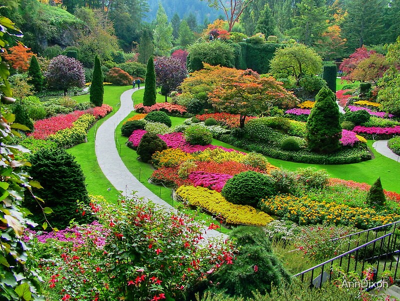  Butchart  Gardens BC Canada in the Fall by AnnDixon 