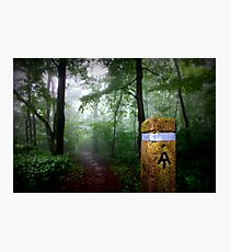 Appalachian Trail Magic Photographic Print