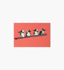 Kookaburras on a branch. Four cute kookaburras sitting together. Coral background Art Board
