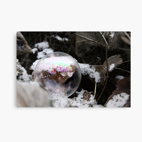 Bubble & Snow Canvas Print