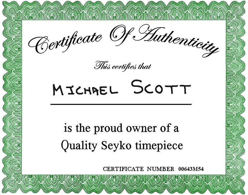 michael scott seyko