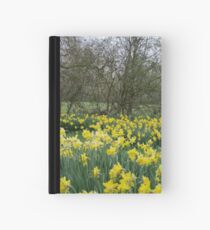 door of my heart Hardcover Journal