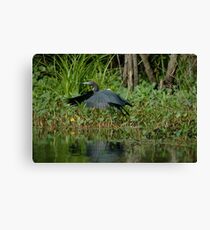 Preparing For Take-off Canvas Print