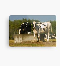 Office water cooler Metal Print
