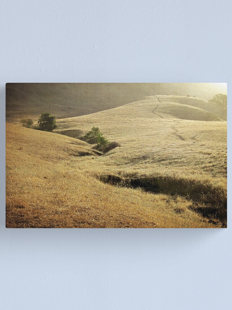 Alternate view of Mission Peak Sunrise Canvas Print