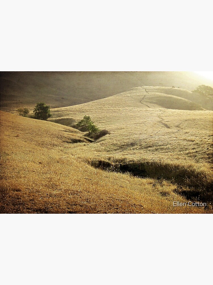 Mission Peak Sunrise by ellcot