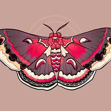 Moth Sticker for Sale by FionaCreates72