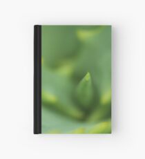 Aloe blur Notizbuch