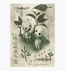 Natural History - Forest Spirit studies Photographic Print