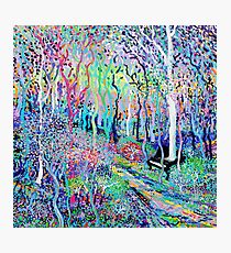 Topographical Bach Photographic Print