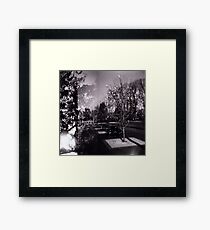 Bloom trees in Carlton Framed Print
