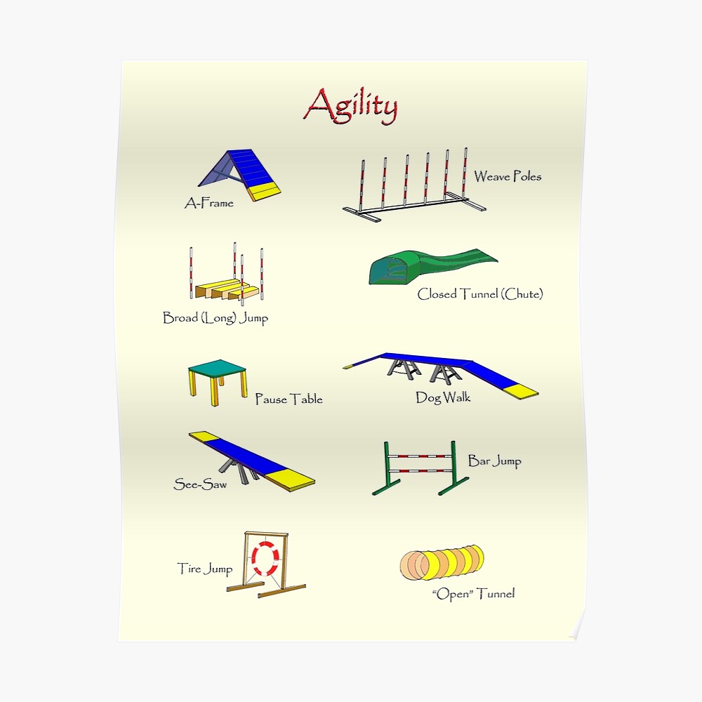 "Agility Equipment" Poster by waypoints Redbubble