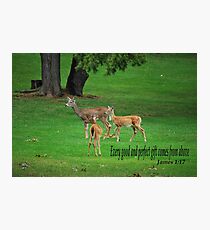 James 1:17 Photographic Print