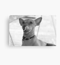 Ciska Canvas Print