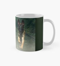 Taza Misticismo belga malinois