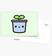 Cute sprout in pot Postcards