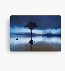 Milarrochy Bay Canvas Print
