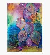 Meditative Bliss Photographic Print