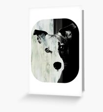 Jack Russell Terrier Grußkarte
