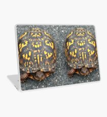 Östliche Dosenschildkröte - Ja! Es ist lebendig. Wir können Naturwunder genießen, ohne sie einzuschließen. Laptop Folie