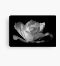 Iceberg Canvas Print