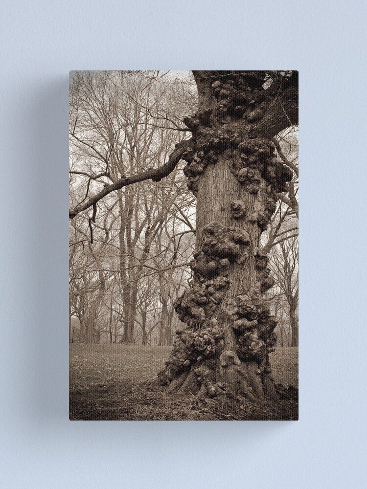 Alternate view of The Unforgiving Canvas Print