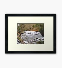 Arrested Framed Print