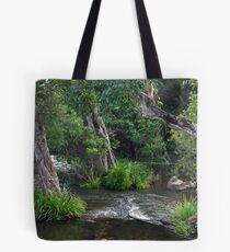 Flooded Tote Bag