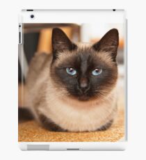 Vinilo o funda para iPad Gato siames