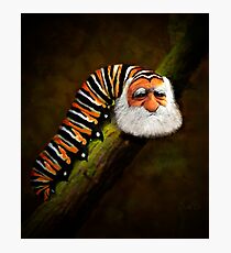 The Secret Keeper found Photographic Print